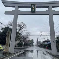 投稿日:2023年3月28日 写真