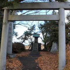 八幡社 隣にある白男櫻竜神社(投稿日:2024年1月9日) 写真