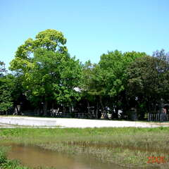 日置八幡宮(投稿日:2025年8月5日) 写真