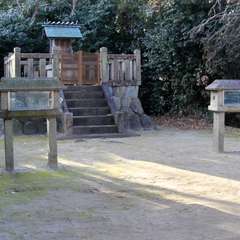 上梶島神明社(投稿日:2024年1月9日) 写真