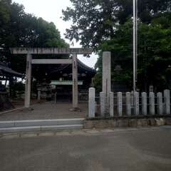 写真