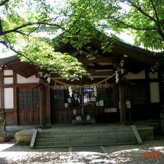 投稿日:2025年8月5日 写真