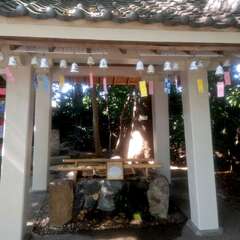 投稿日:2025年8月21日 写真