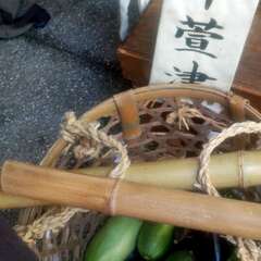 投稿日:2025年8月21日 写真