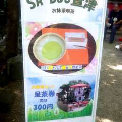 投稿日:2025年8月21日 写真