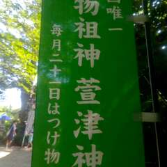 投稿日:2025年8月21日 写真