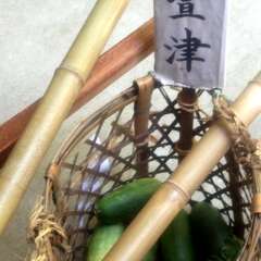 投稿日:2025年8月21日 写真