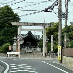 写真