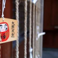 投稿日:2024年8月26日 写真