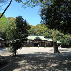 投稿日:2023年3月8日 写真