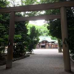 投稿日:2017年7月4日 写真