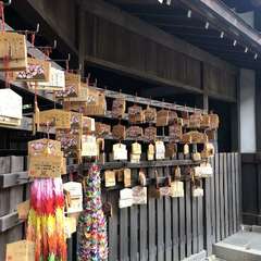 投稿日:2019年5月13日 写真