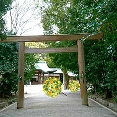 投稿日:2019年4月4日 写真