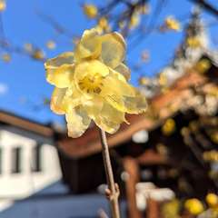 投稿日:2023年1月31日 写真