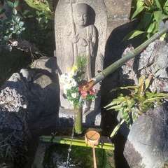 投稿日:2023年2月1日 写真