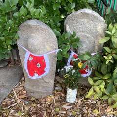 投稿日:2023年2月4日 写真