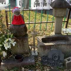 投稿日:2023年2月4日 写真