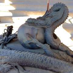 投稿日:2022年11月18日 写真