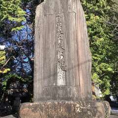 投稿日:2022年12月29日 写真