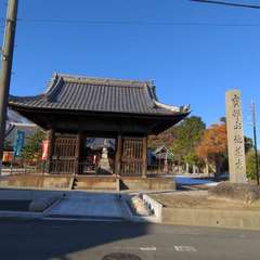 投稿日:2022年12月25日 写真