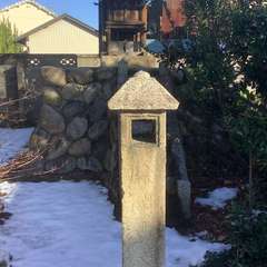 投稿日:2022年12月29日 写真