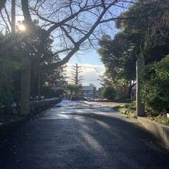 投稿日:2022年12月29日 写真