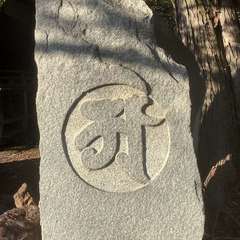 投稿日:2022年12月29日 写真