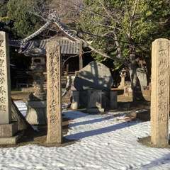 投稿日:2022年12月29日 写真