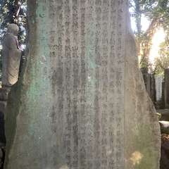 投稿日:2022年12月29日 写真