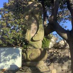 投稿日:2022年12月29日 写真