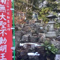 投稿日:2022年12月29日 写真