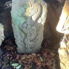 投稿日:2022年12月29日 写真