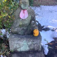 投稿日:2022年12月29日 写真