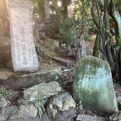 投稿日:2022年12月29日 写真