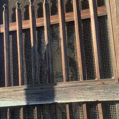 投稿日:2022年12月29日 写真