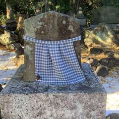 投稿日:2022年12月29日 写真