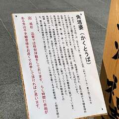 投稿日:2025年2月15日 写真