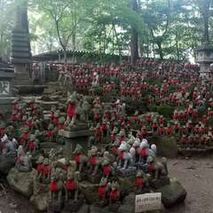 投稿日:2024年8月21日 写真