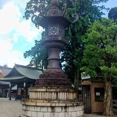 投稿日:2024年8月21日 写真