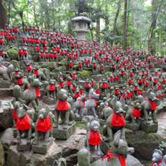 投稿日:2019年4月15日 写真