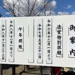 投稿日:2025年2月15日 写真