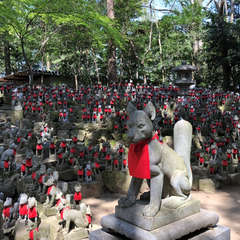 投稿日:2018年4月1日 写真