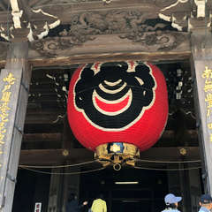 投稿日:2018年4月1日 写真