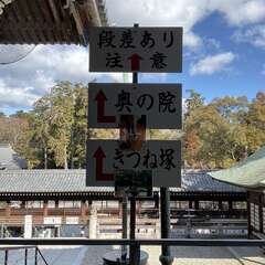 投稿日:2025年2月15日 写真