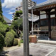 投稿日:2024年6月29日 写真