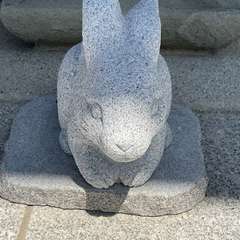 投稿日:2024年6月29日 写真