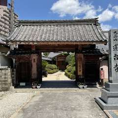 投稿日:2024年6月29日 写真