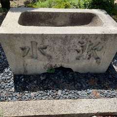 投稿日:2024年6月29日 写真