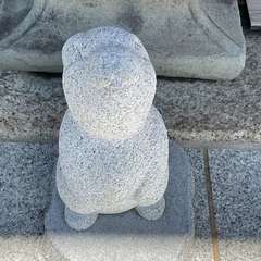 投稿日:2024年6月29日 写真