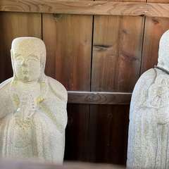 投稿日:2024年6月29日 写真